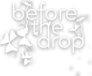 Before the Drop Logo